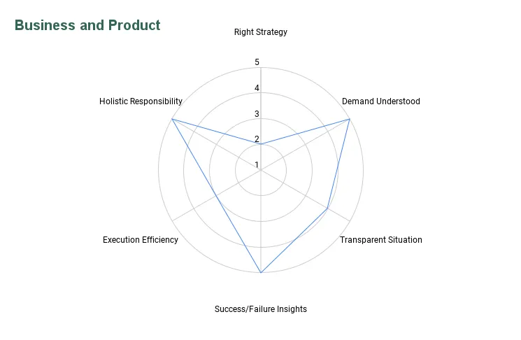 Beispielhafte Bewertung der Dimension Business und Produkt als Netzdiagramm über die sechs Kategorien