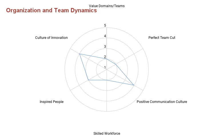 Beispielhafte Bewertung der Dimension Organisation und Teamdynamik als Netzdiagramm über die sechs Kategorien